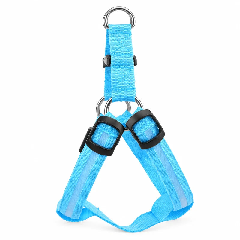 Harnais LED réglable rechargeable USB Bleu entier sur fond blanc
