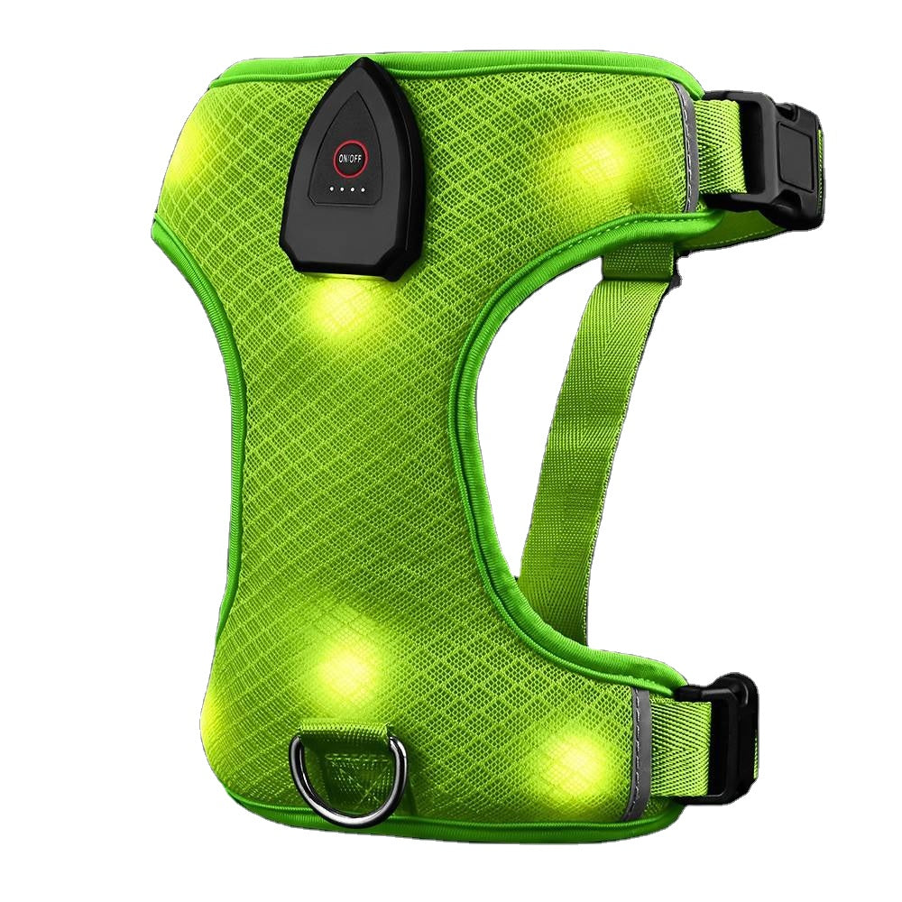 Harnais lumineux LED pour chien, visible dans l'obscurité