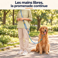Personne en pantalon beige portant une laisse bleue en bandoulière avec un golden retriever adulte dans un parc