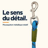 Gros plan du mousqueton métallique argenté de la laisse bleue et de sa jonction vert olive