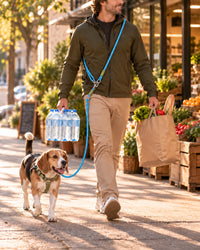 Courses en ville avec un beagle, les mains libres grâce à la laisse SAFYDOG™