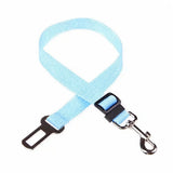 Ceinture de sécurité voiture pour chien bleu clair sur fond blanc