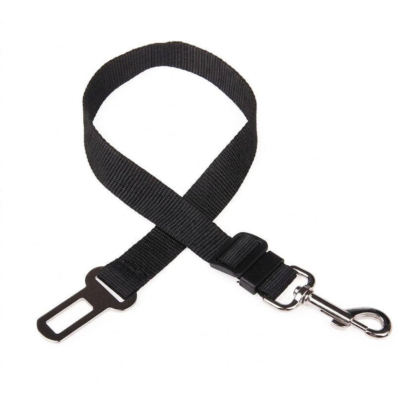 Ceinture de sécurité voiture pour chien noire sur fond blanc