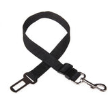 Ceinture de sécurité voiture pour chien noire sur fond blanc