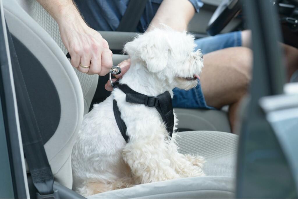 Sécurité en Voiture