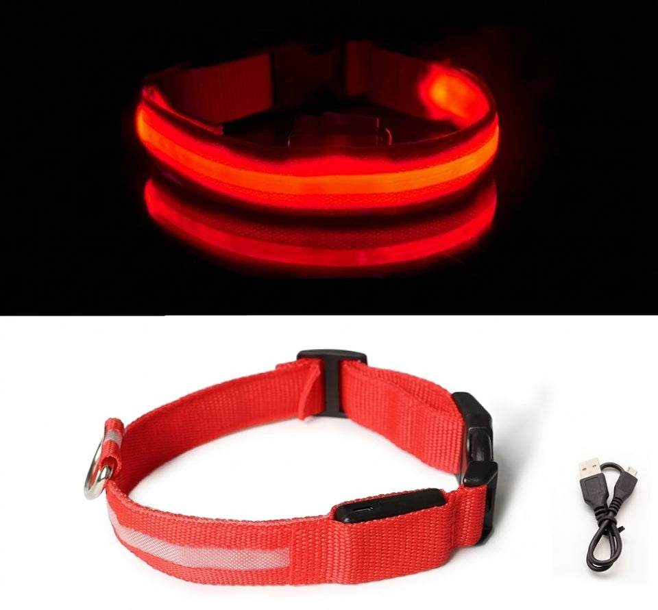 Collier LED rouge allumé puis éteint, avec son câble de recharge USB
