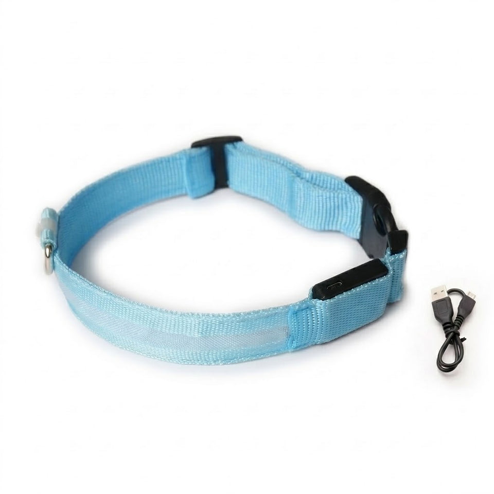Collier LED rechargeable USB bleu SAFYDOG™ avec son câble, sur fond blanc