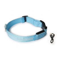 Collier LED rechargeable USB bleu SAFYDOG™ avec son câble, sur fond blanc