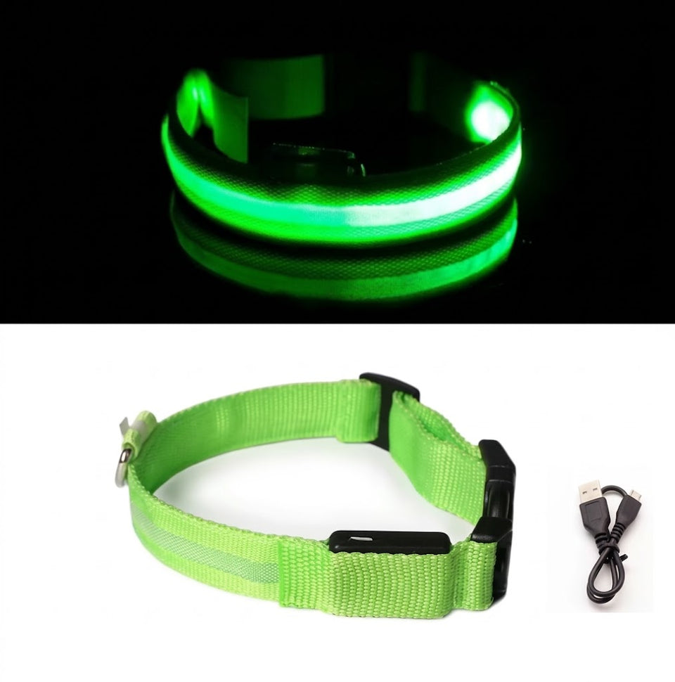 Collier LED vert allumé puis éteint, avec son câble de recharge USB