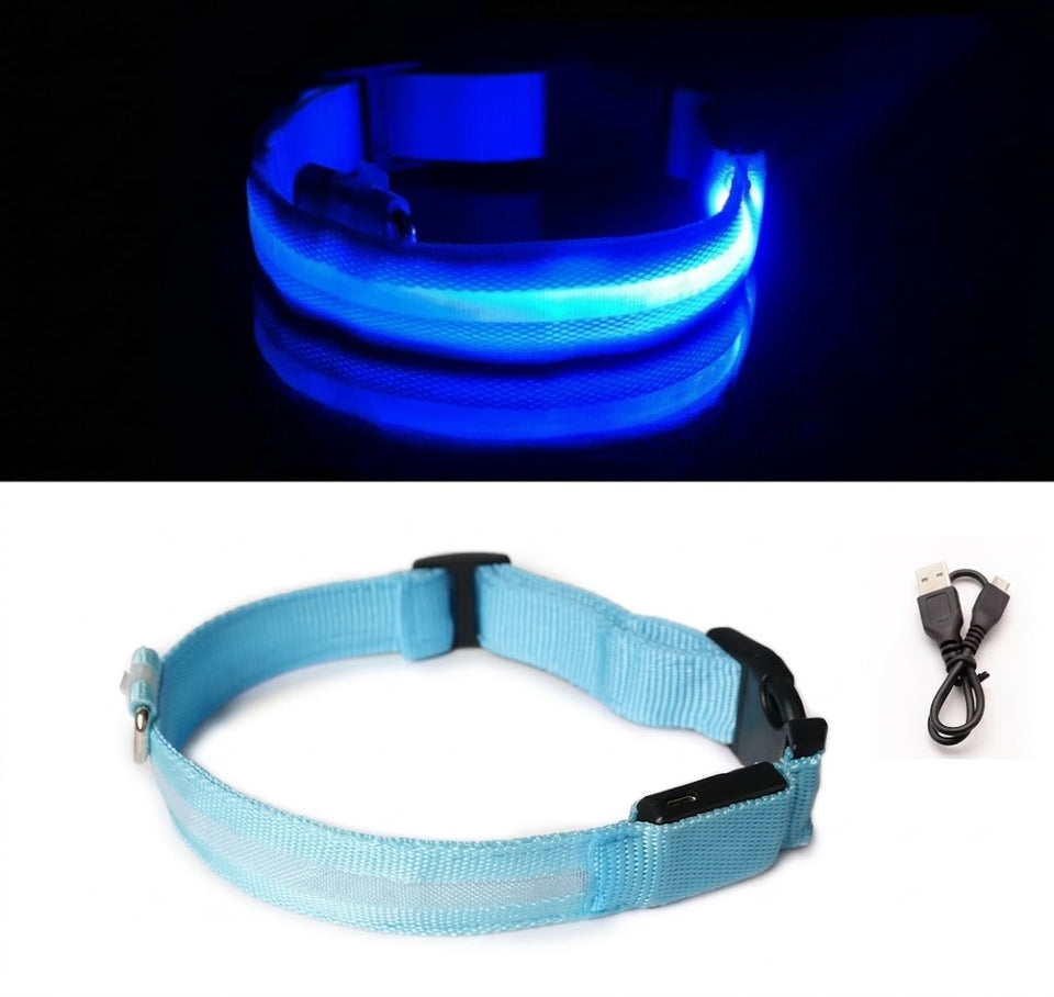 Collier LED bleu allumé puis éteint, avec son câble de recharge USB