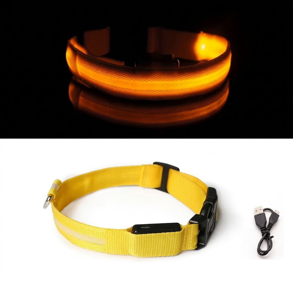 Collier LED jaune allumé puis éteint, avec son câble de recharge USB