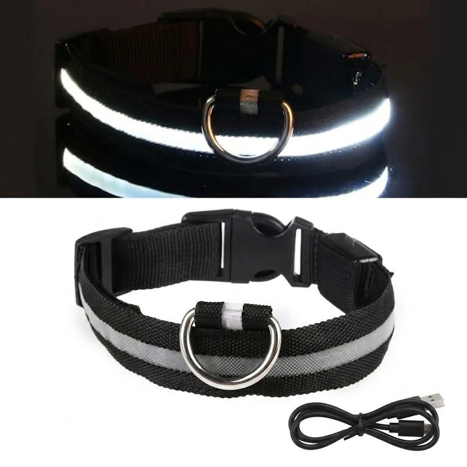 Collier LED noir allumé puis éteint, avec son câble de recharge USB