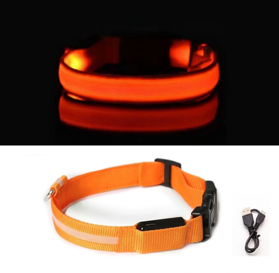 Collier LED orange allumé puis éteint, avec son câble de recharge USB