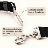 Détail de la boucle et du mousqueton d'une ceinture de sécurité voiture pour chien noire