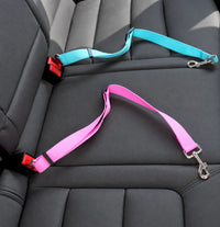 Deux ceintures de sécurité voiture pour chien, bleue et rose, posées sur une banquette arrière
