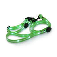 Ensemble collier et laisse LED vert allumé SAFYDOG™ sur fond blanc