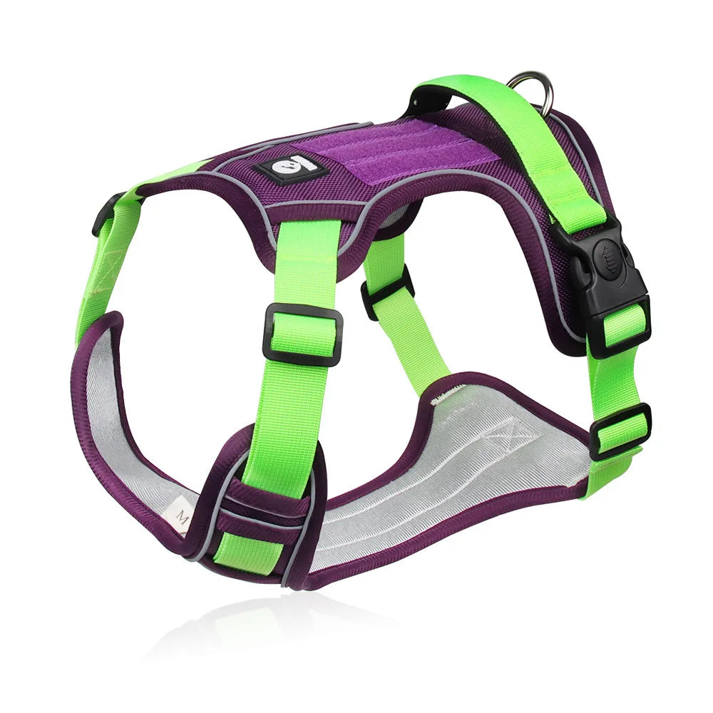 Harnais anti-traction renforcé coloris violet et vert, vue de profil sur fond blanc