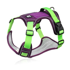 Harnais anti-traction renforcé coloris violet et vert, vue de profil sur fond blanc