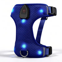 Harnais lumineux pour chien - coloris bleu