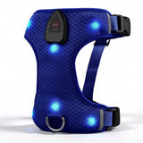 Harnais lumineux pour chien - coloris bleu