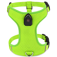 Harnais lumineux pour chien vert vu de face sur fond blanc