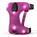 Harnais lumineux pour chien - coloris rose
