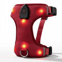 Harnais lumineux pour chien - coloris rouge