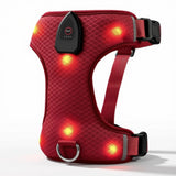 Harnais lumineux pour chien - coloris rouge