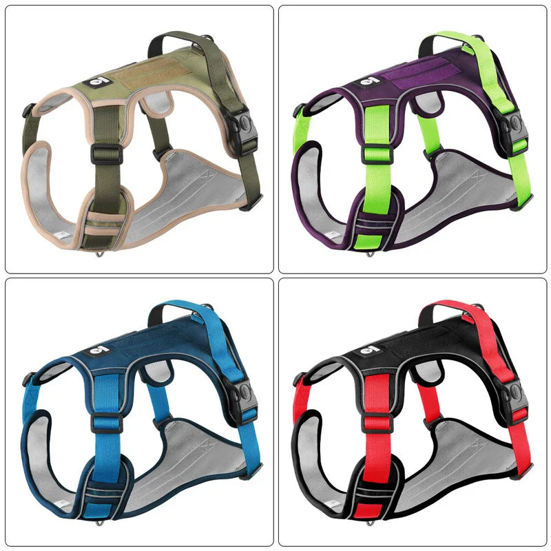 Les 4 coloris du harnais renforcé : kaki, violet et vert, bleu, noir et rouge