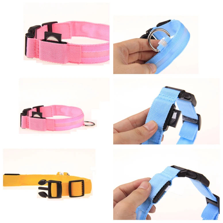 Détails du collier lumineux LED pour chien : boucle, anneau et réglage, coloris rose, bleu et jaune