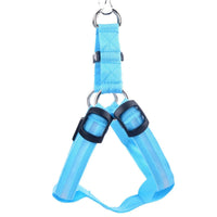 Harnais LED réglable bleu pour chien, rechargeable USB, sur fond blanc
