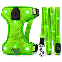 Harnais lumineux vert et laisse LED assortie incluse sur fond blanc