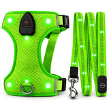 Harnais lumineux vert et laisse LED assortie incluse sur fond blanc