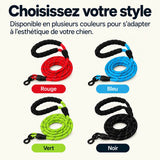Les quatre couleurs de la laisse Confort SAFYDOG : rouge, bleu, vert et noir.