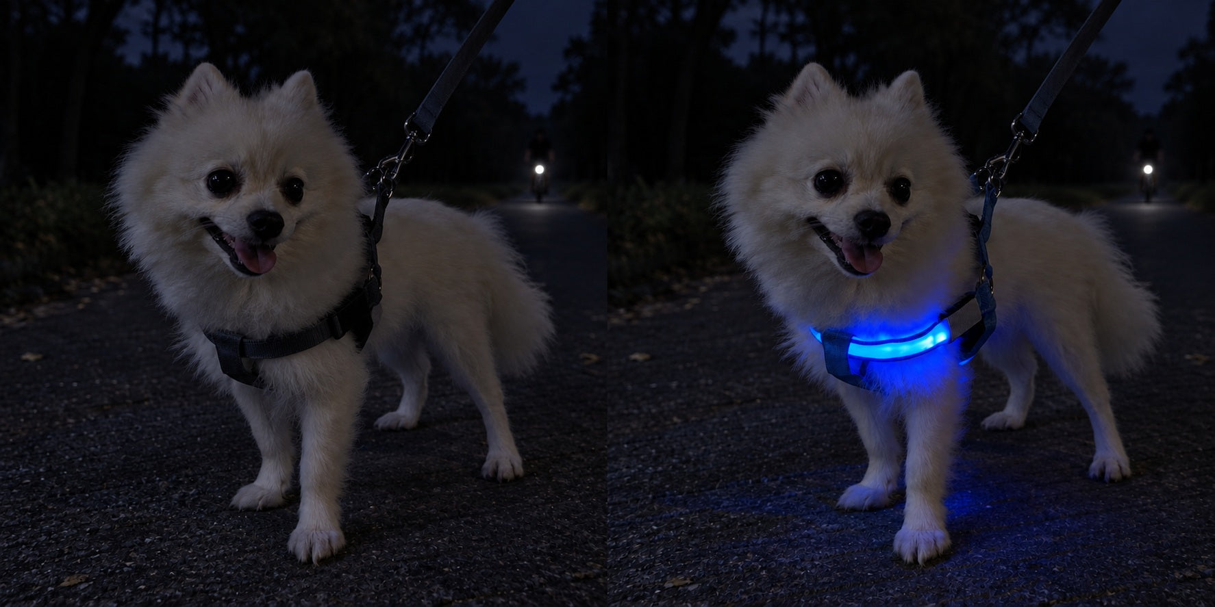 Illustration reconstituée : petit chien de nuit portant un harnais classique sans LED, un cycliste au loin ; Illustration reconstituée : le même chien portant le harnais LED réglable SAFYDOG™ allumé, un cycliste au loin