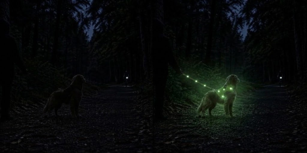 Illustration reconstituée : promeneur et chien de nuit en forêt, harnais classique sans LED, un cycliste au loin ; Illustration reconstituée : la même scène avec le harnais SAFYDOG™ allumé et une laisse lumineuse, un cycliste au loin