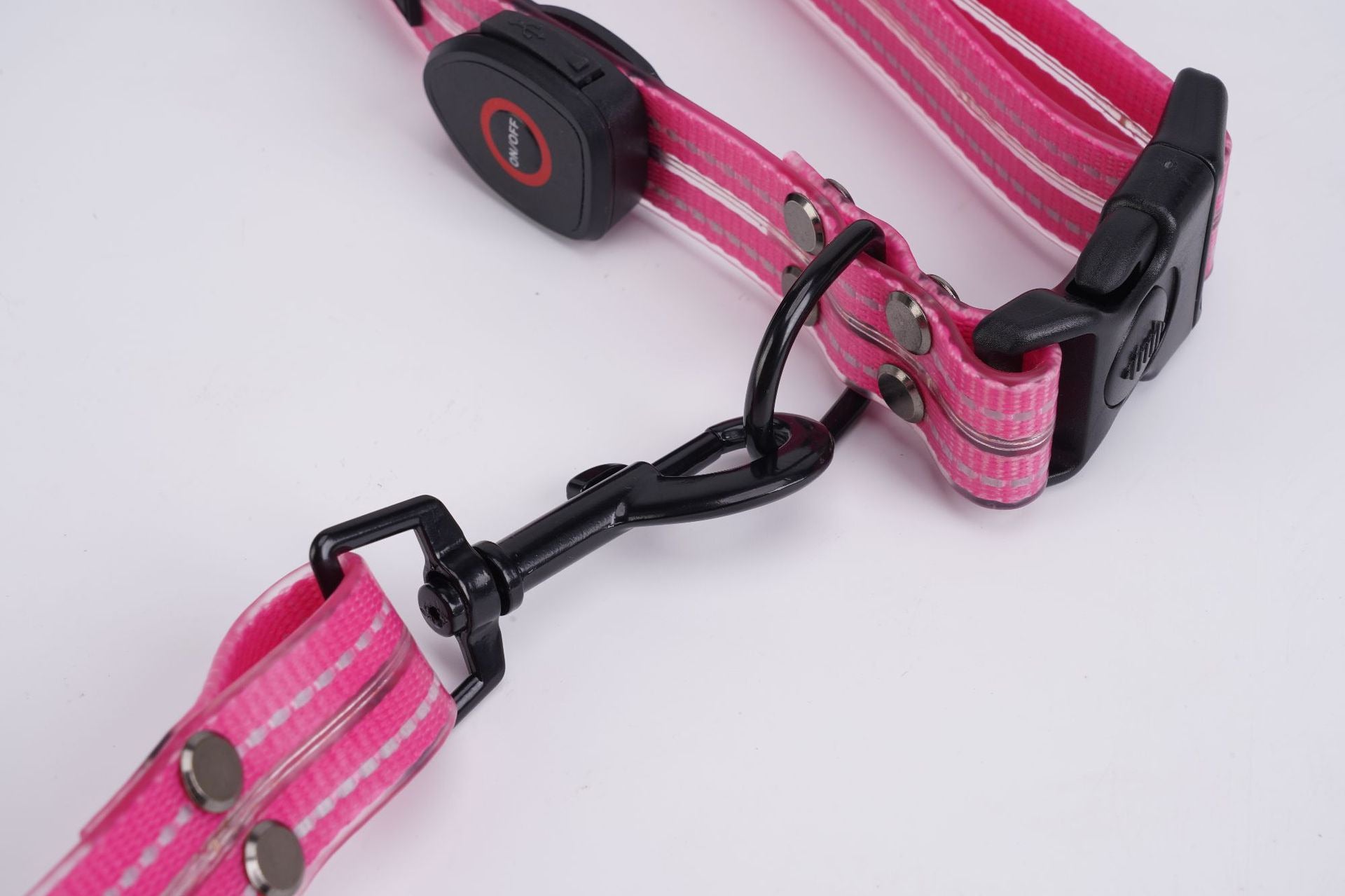 Gros plan de l’attache rose reliant la laisse au collier