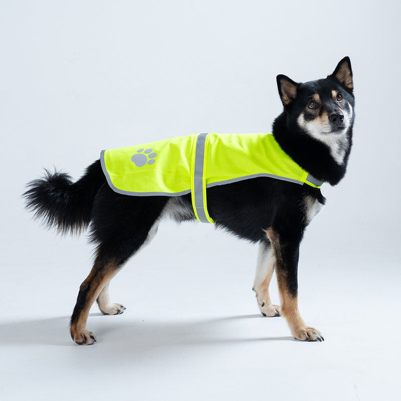Chien portant le gilet réfléchissant jaune fluo, vu de profil