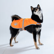 Gilet orange fluo porté