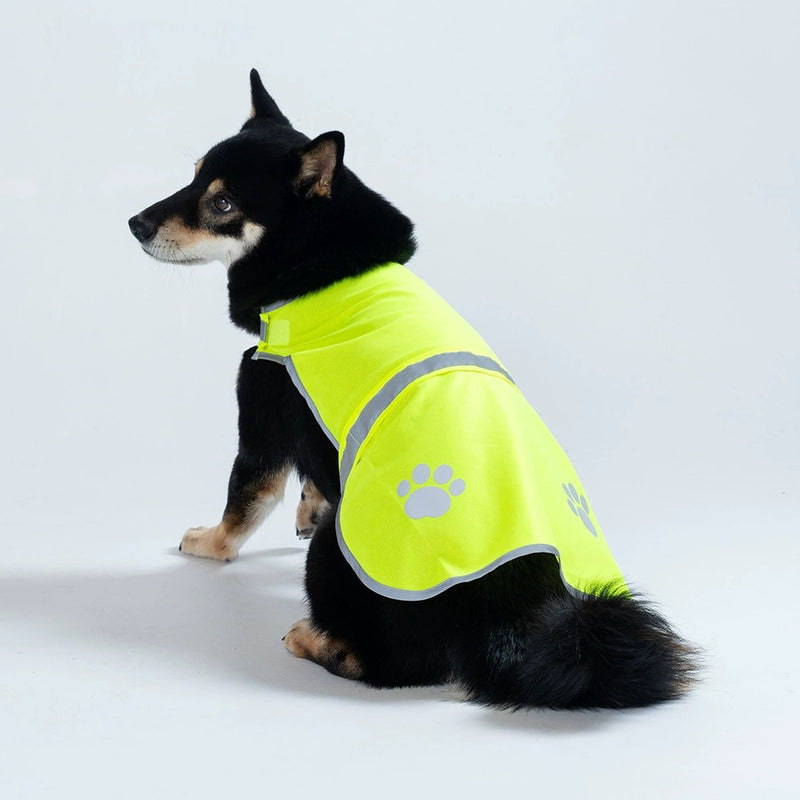 Gilet jaune fluo vu de dos sur un chien