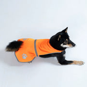Chien couché portant le gilet orange fluo