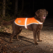 Illustration nocturne, gilet orange fluo