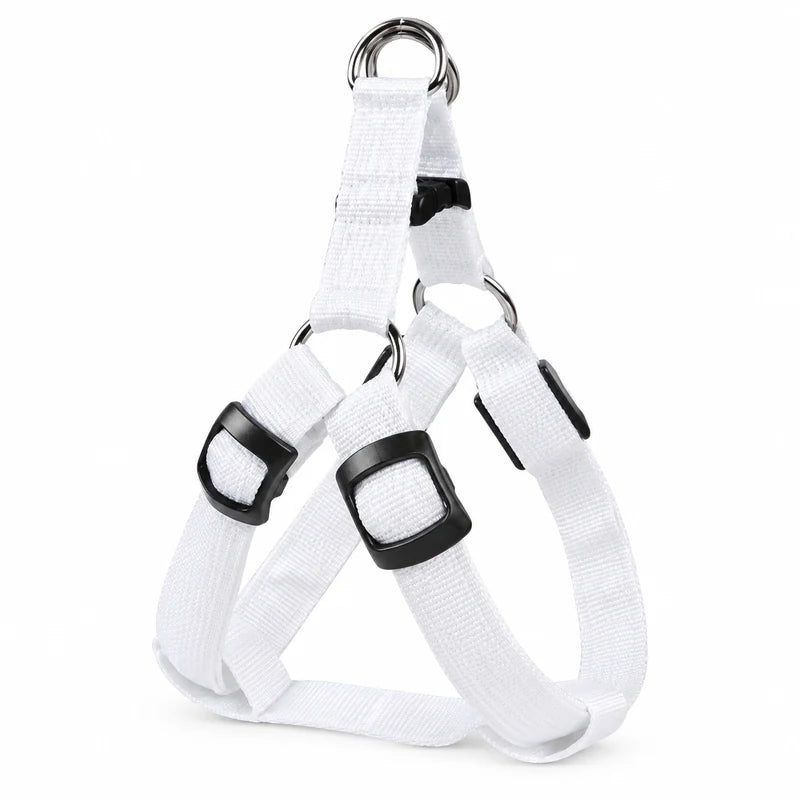 Harnais LED réglable rechargeable USB Blanc entier sur fond blanc