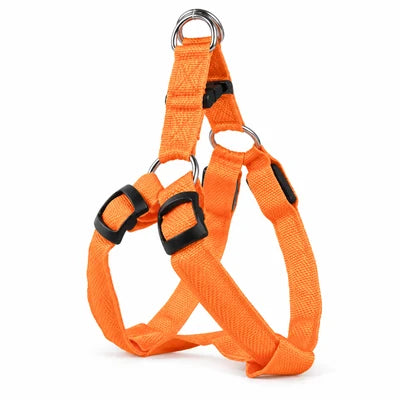 Photo Orange
