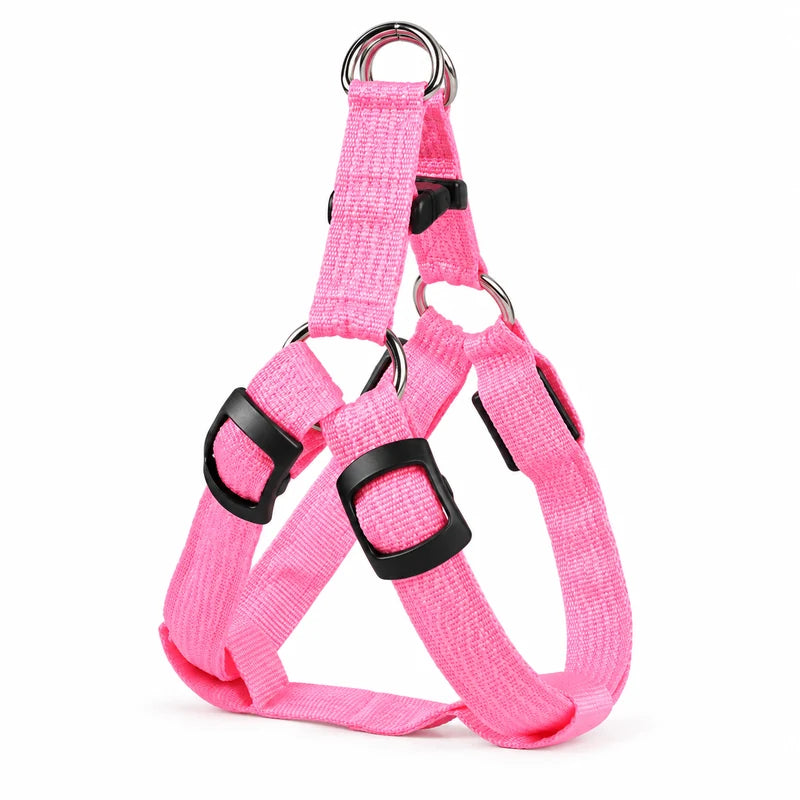Harnais LED réglable rechargeable USB Rose entier sur fond blanc