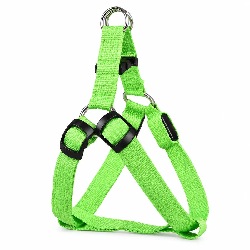 Harnais LED réglable rechargeable USB Vert entier sur fond blanc